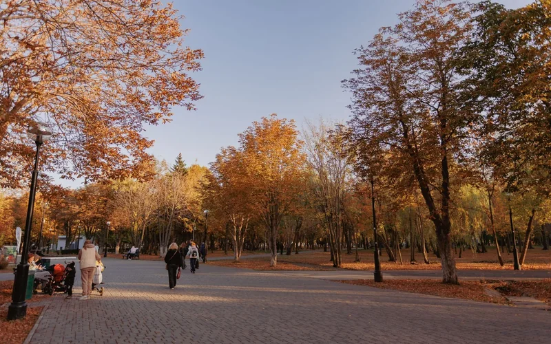 What to do in Riga in autumn: 8 ideas